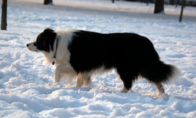 DSC_5659.JPG