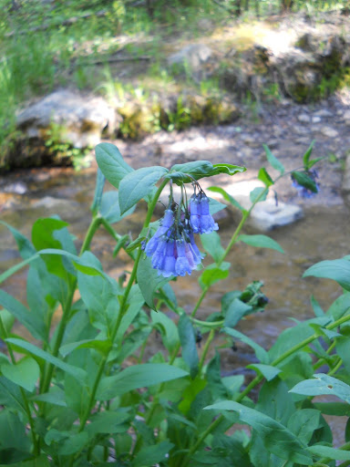 DSCN5140.JPG
