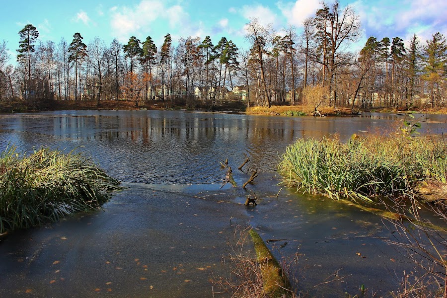 Природные пейзажи различных стран в фотографиях - 2