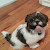 Reviewer Profile Image