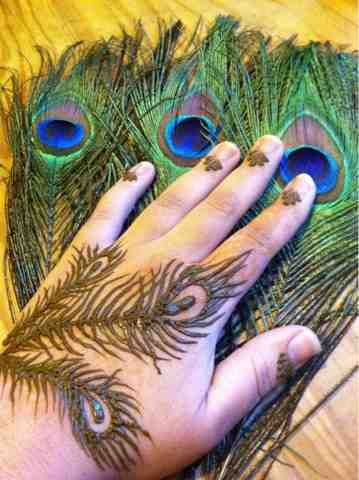 सुरमुल Feather with Peacock Mehndi Tattoo Waterproof Combo Temporary Mehndi  Tattoo - Price in India, Buy सुरमुल Feather with Peacock Mehndi Tattoo  Waterproof Combo Temporary Mehndi Tattoo Online In India, Reviews, Ratings