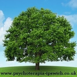 Polski Psycholog i Psychoterapia Online UK - Krzysztof Świąder