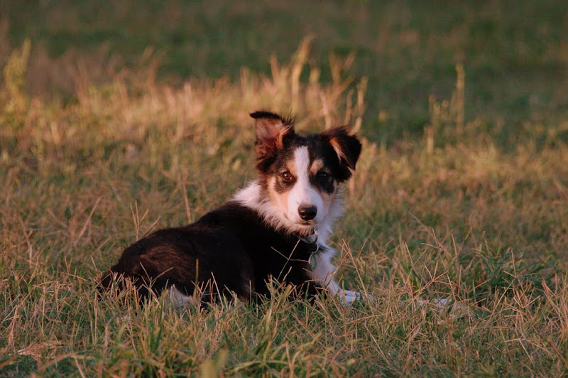 DSC_8252.JPG