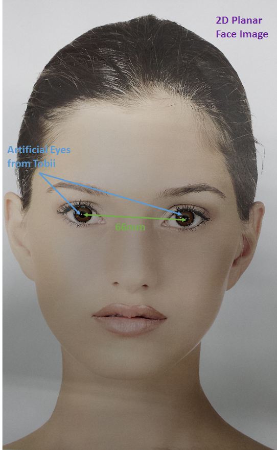 Artificial Eye Test - Working