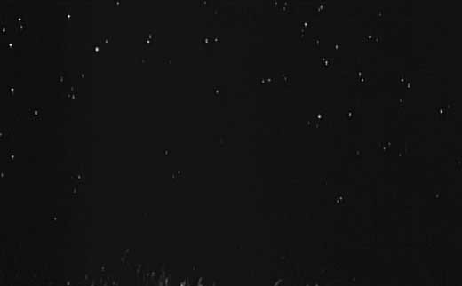 The Night of the Hunter hosted by Picasa