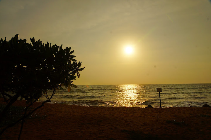 Шри-Ланка: на машине 1 100 км,  фото без комментариев, март-апрель 2013г.