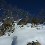 Snow on the hillside (299968)
