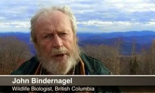 Watchjohn Bindernagel Pattersongimlin Film Can Be Poison For A Book