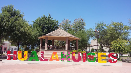 Plaza Municipal, Progreso 101, Centro de Hualahuises, 67890 Hualahuises, N.L., México, Atracción turística | NL