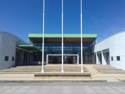 Biblioteca, El Roble 205, Chillan, Chillán, Región del Bío Bío, Chile, Biblioteca | Bíobío