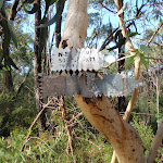 signs at western end of Natural Bridge track (127291)