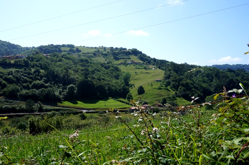 Senda Fluvial del Río Viacaba (Cabranes) - Descubriendo Asturias (16)