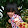 Abizar Al Ghifari Abizar Al Ghifari's profile photo