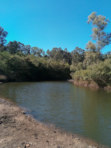 Bertiandos and São Pedro de Arcos Lagoons Protected Landscape