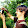 Dale Brunner Dale Brunner's profile photo