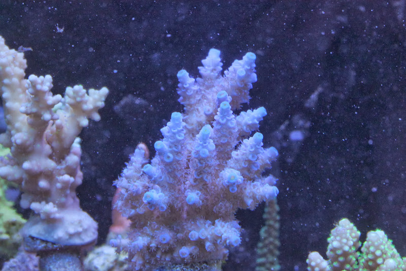 IMG_9696.JPG