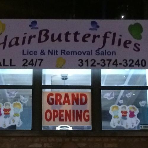Hair Butterflies Lice and Nit Removal Salon logo