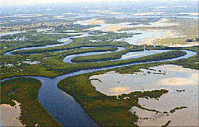 Panorámica del delta (foto Wikipedia)