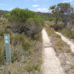 Arrow marker beside service trail (103555)