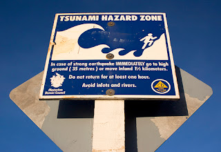 Tsunami reached New Zealand, Antarctica and Indonesia