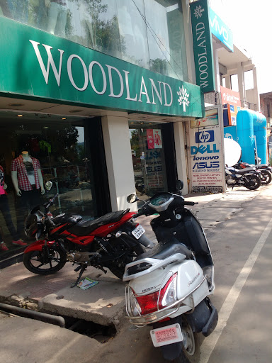 Woodland Store, Shimla-Kangra Rd, New Kangra, Kangra, Himachal Pradesh 176001, India, Shoe_Shop, state HP
