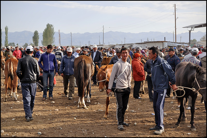 Kirghizstan : des steppes aux Monts Célestes [MAJ 16/09] - Page 2 DSC_9607%2520raw-794%252Bcadre