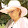 Rose Doschke Rose Doschke's profile photo