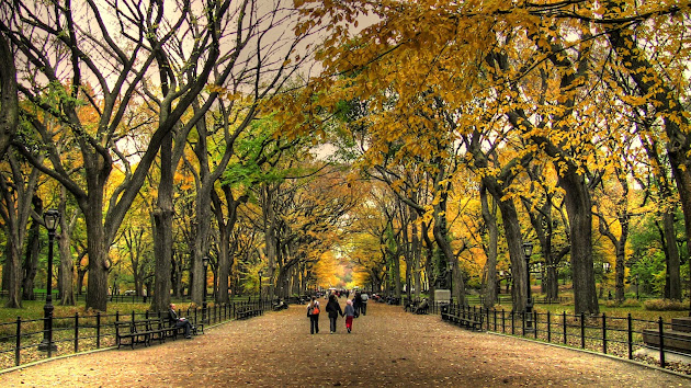 Cover photo