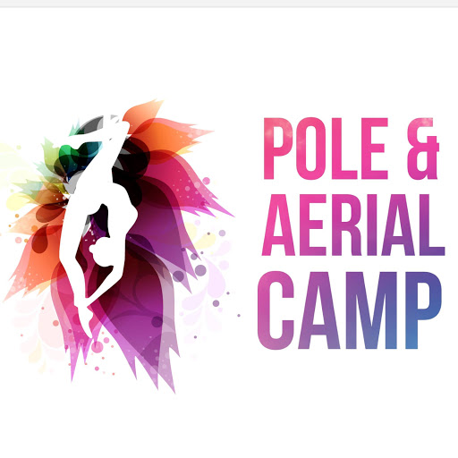 Pole&Aerial camp logo