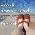 Little Homestead in the Desert