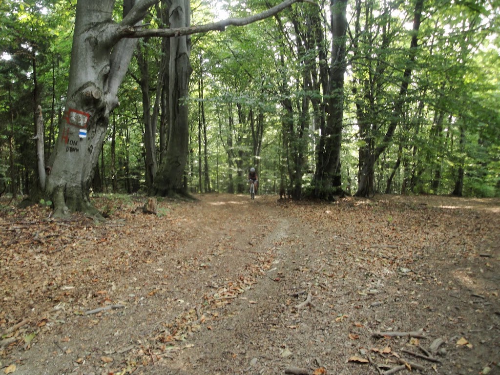 Zona asta a traseul a fost superba