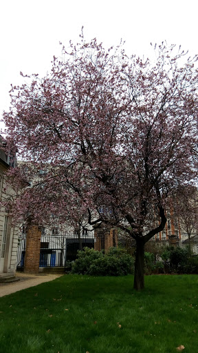 Jardin Debrousse