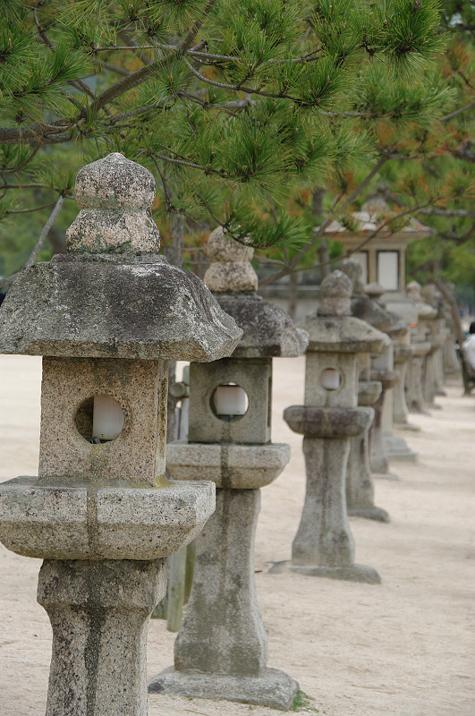 日本行