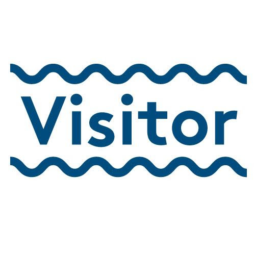 Visitor Store