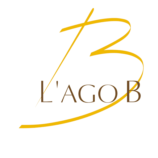 L'Ago B logo