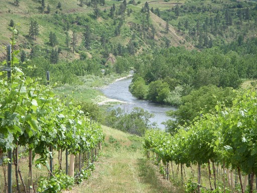 Hauptbild von Colter's Creek Vineyards and Winery