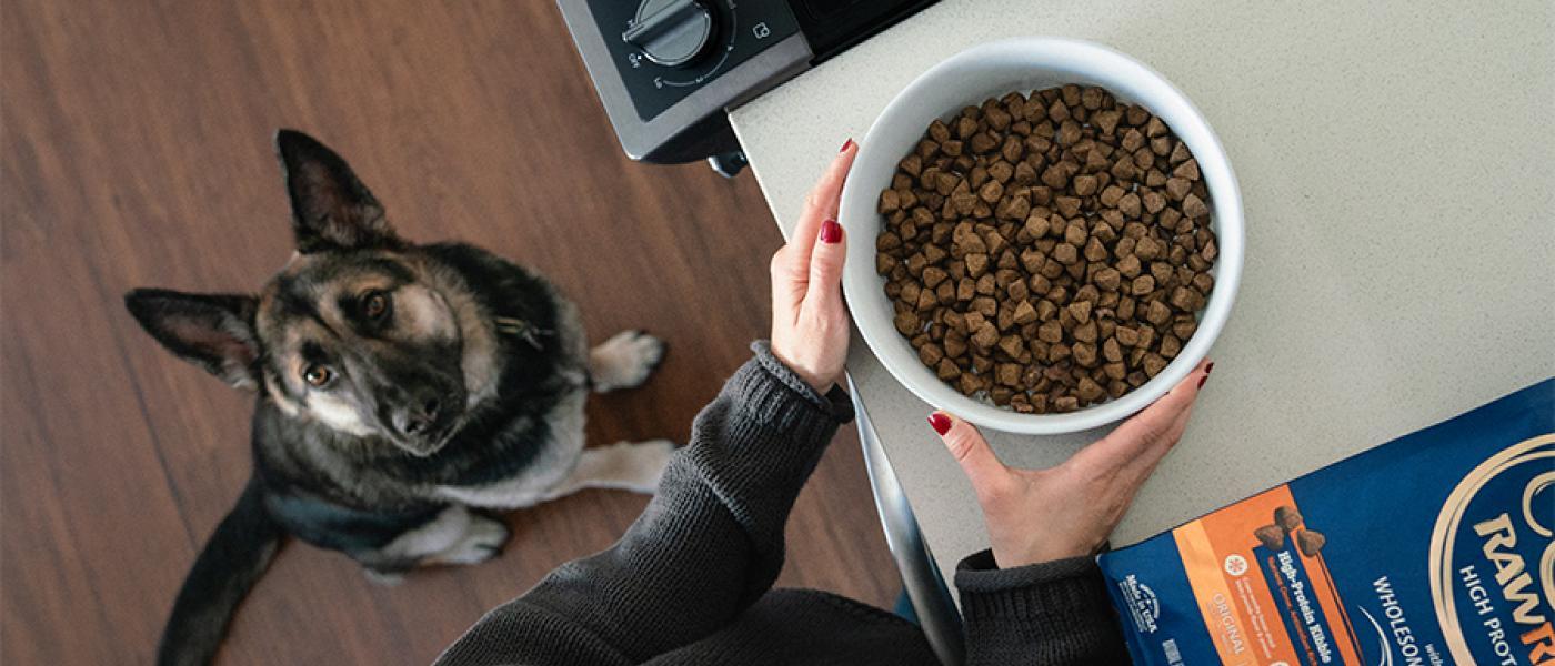 Wet Vs Dry Dog Food 