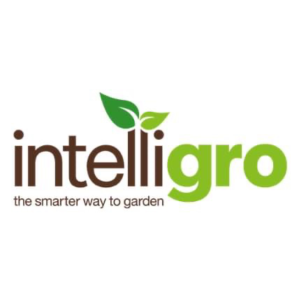 Intelligro logo