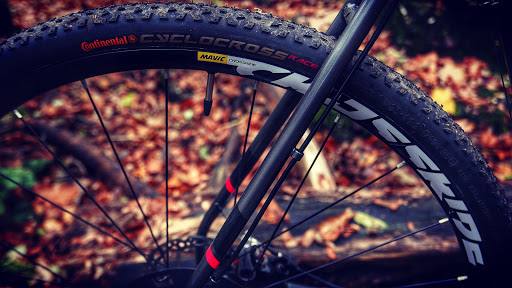 Mavic