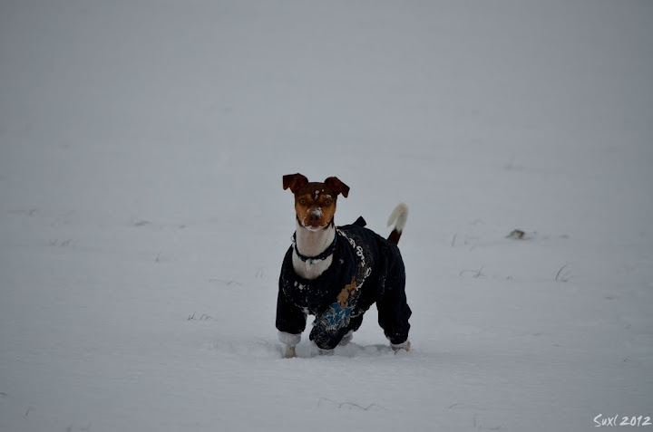 DSC_6182.JPG