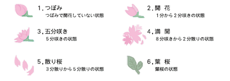 日本東京賞櫻花賞櫻名所景點介紹八王子東京の桜お花見