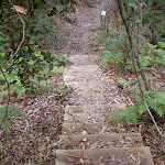 Steps down from picnic area (21518)
