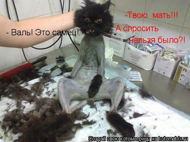 Ни дня без улыбки. Жизнь - странная штука, она вроде бы с каждым вновь прожитым днем становится все длиннее и одновременно - короче... Ни дня без улыбки. Жизнь - странная штука, она вроде бы с каждым вновь прожитым днем становится все длиннее и одновременно - короче...
