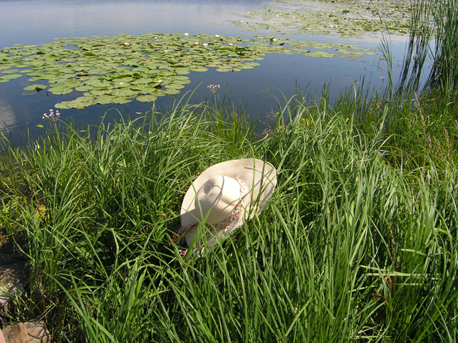Один мой день.