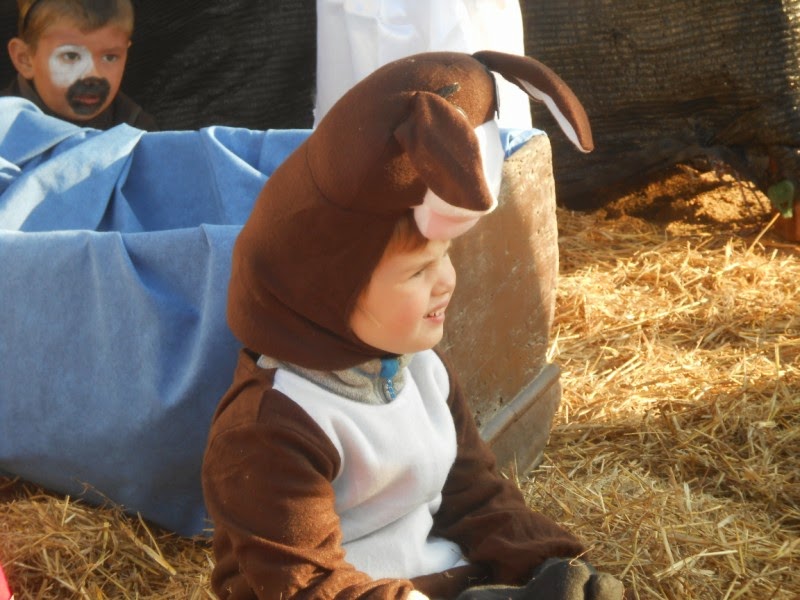 pessebre%2Bvivent%2B034%2B%5B800x600%5D.jpg