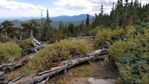 Nature Preserve «Mount Goliath Natural Area», reviews and photos, Mt Evans Rd, Evergreen, CO 80439, USA