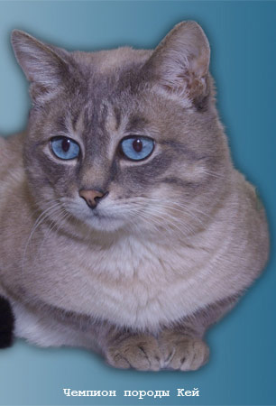 Кей