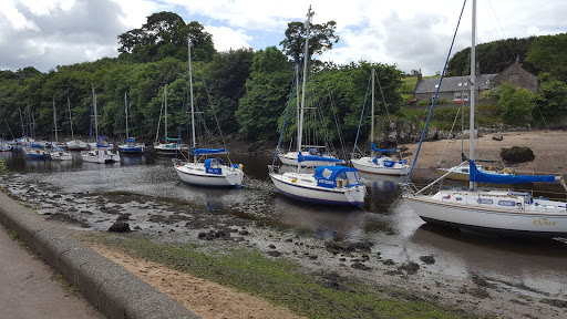 The Harbour