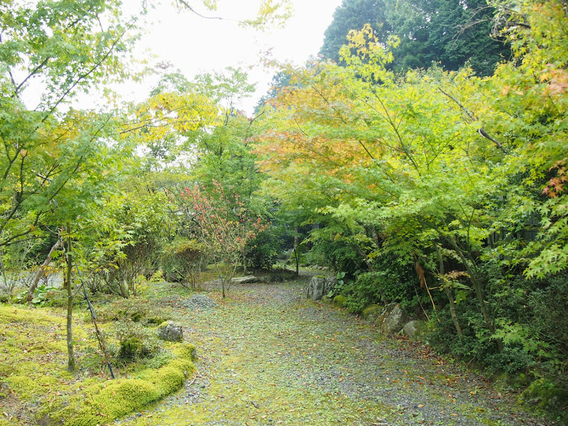 小石原 炭火焼地鶏の多加蔵