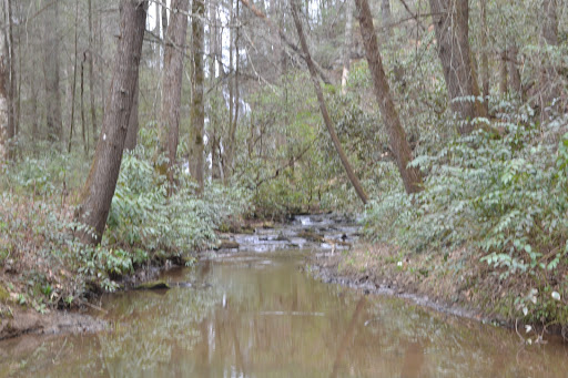 Brasstown Falls